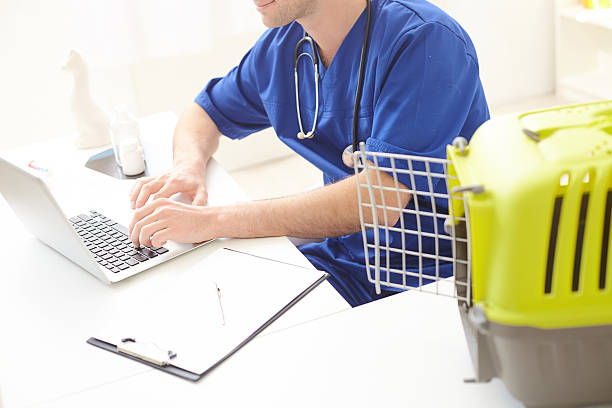 A veterinarian reviews information on his computer, with an open pet crate nearby.